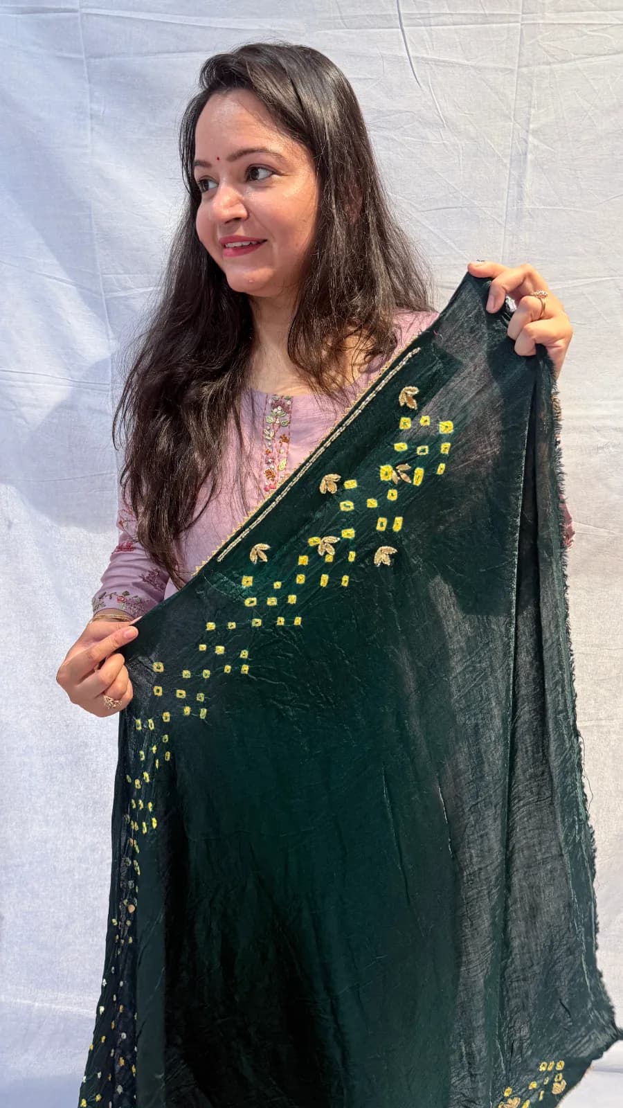 Modal Silk Boond Wali Saree with Dabka Outline