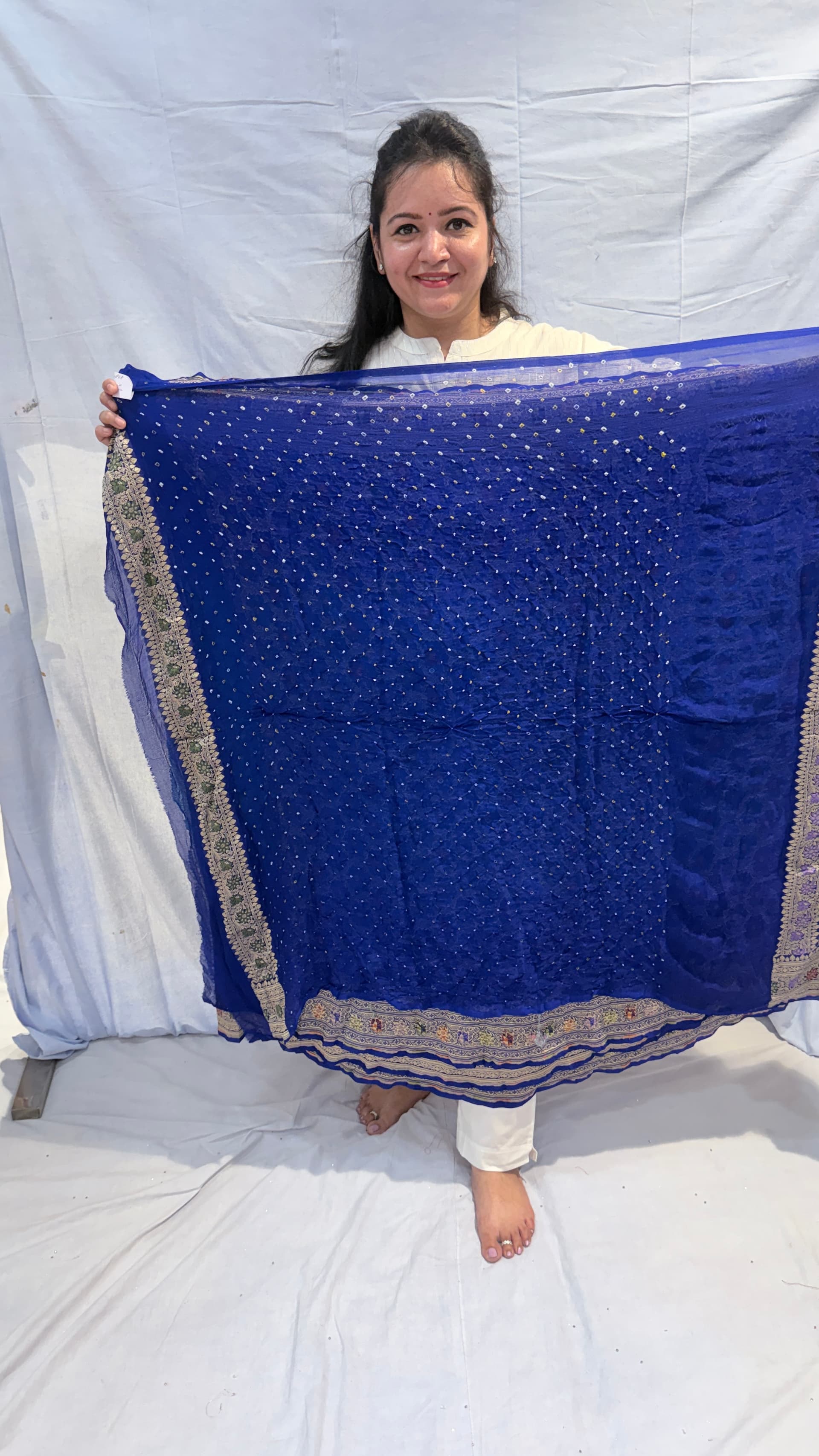 Pure Kadhi Meenakari saree