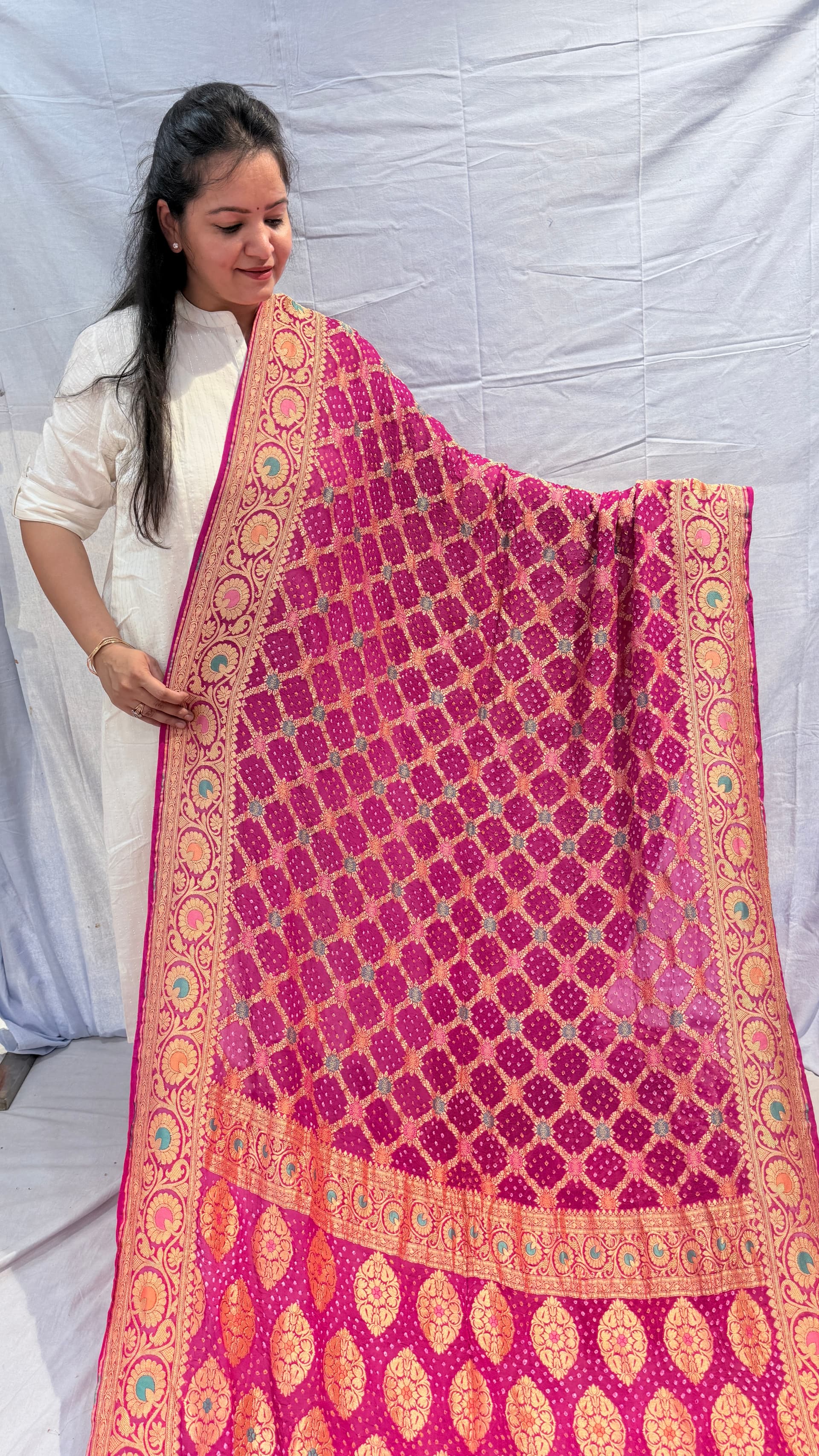Pure Kadhi Meenakari saree